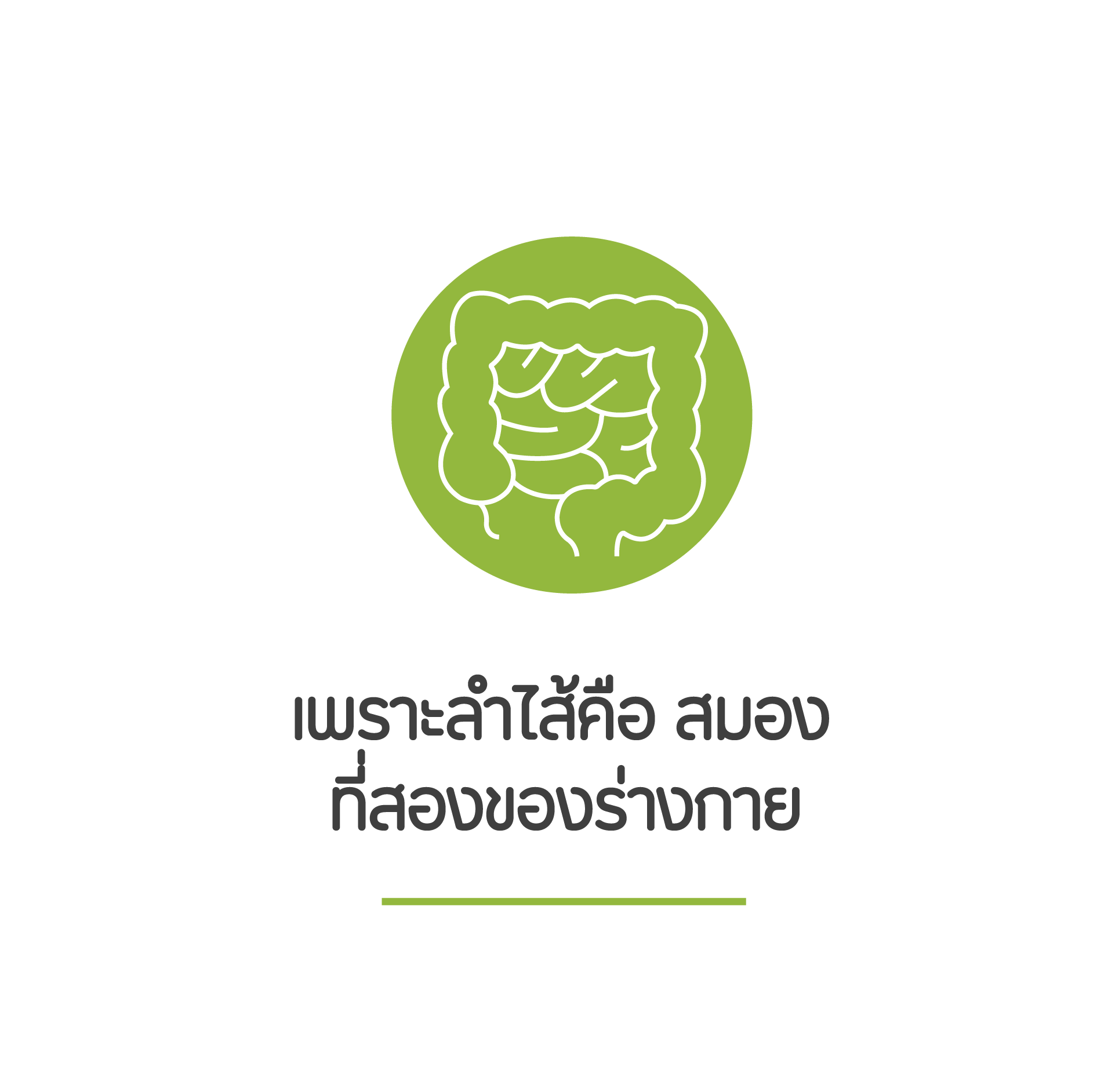 logo new small-02
